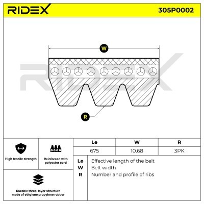 Pasek Klinowy Wielorowkowy RIDEX 305P0002 305P0002 - foto 3