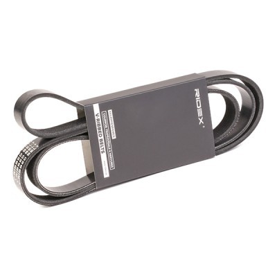 Pasek Klinowy Wielorowkowy RIDEX 305P0347 305P0347 - foto 2