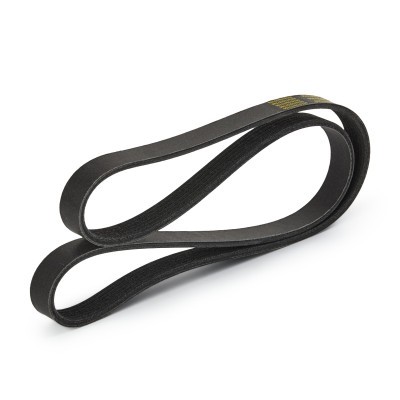 Pasek Klinowy Wielorowkowy RIDEX 305P0114P 305P0114P - foto 4