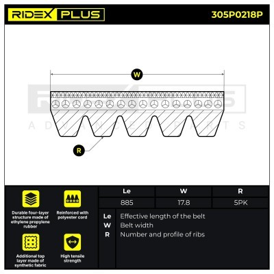 Pasek Klinowy Wielorowkowy RIDEX 305P0218P 305P0218P - foto 3