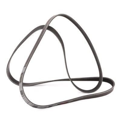 Pasek Klinowy Wielorowkowy RIDEX 305P0092P 305P0092P - foto 3