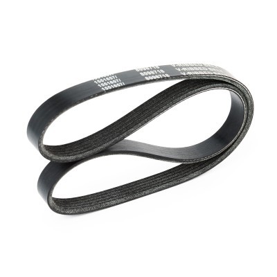 Pasek Klinowy Wielorowkowy RIDEX 305P0028 305P0028 - foto 4