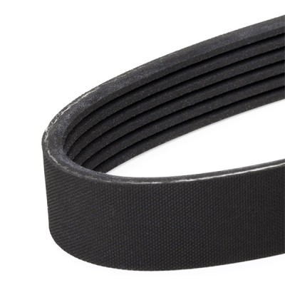 Pasek Klinowy Wielorowkowy RIDEX 305P0334 305P0334 - foto 4