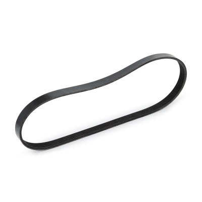 Pasek Klinowy Wielorowkowy RIDEX 305P0207 305P0207 - foto 4