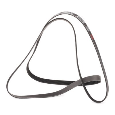 Pasek Klinowy Wielorowkowy RIDEX 305P0216P 305P0216P - foto 4