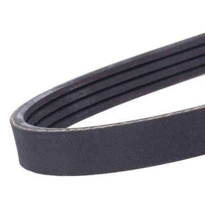 Pasek Klinowy Wielorowkowy RIDEX 305P0429 305P0429 - foto 4
