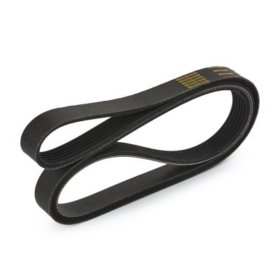 Pasek Klinowy Wielorowkowy RIDEX 305P0173P 305P0173P - foto 4