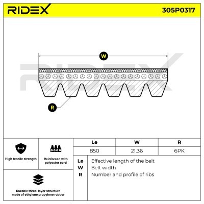 Pasek Klinowy Wielorowkowy RIDEX 305P0317 305P0317 - foto 4