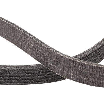 Pasek Klinowy Wielorowkowy RIDEX 305P0105P 305P0105P - foto 5