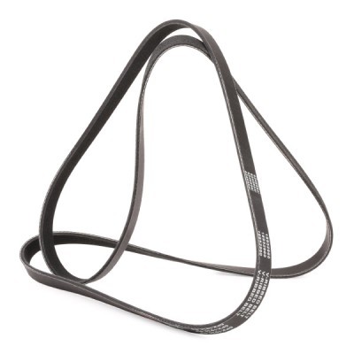 Pasek Klinowy Wielorowkowy RIDEX 305P0069P 305P0069P - foto 3