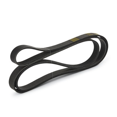 Pasek Klinowy Wielorowkowy RIDEX 305P0100P 305P0100P - foto 4
