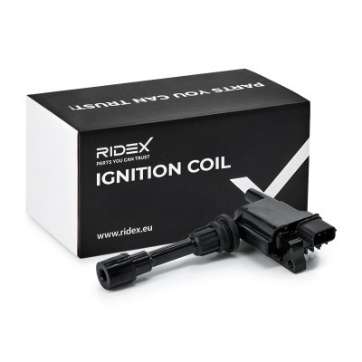 Cewka Zapłonowa RIDEX 689C0080 689C0080 - foto 2
