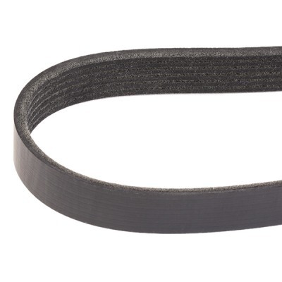 Pasek Klinowy Wielorowkowy RIDEX 305P0162 305P0162 - foto 3