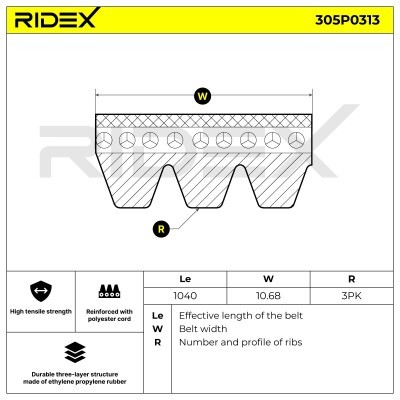 Pasek Klinowy Wielorowkowy RIDEX 305P0313 305P0313 - foto 4