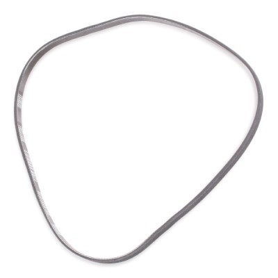 Pasek Klinowy Wielorowkowy RIDEX 305P0054P 305P0054P - foto 4