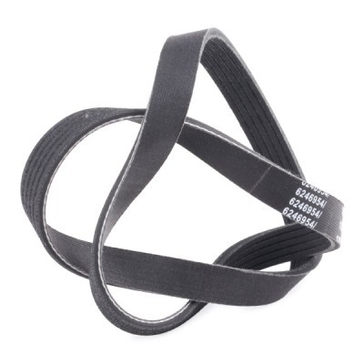 Pasek Klinowy Wielorowkowy RIDEX 305P0027P 305P0027P - foto 3