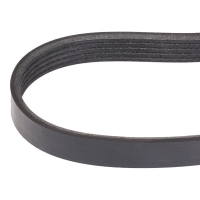 Pasek Klinowy Wielorowkowy RIDEX 305P0455 305P0455 - foto 3