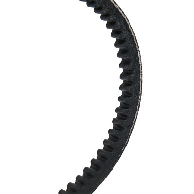 Pasek Klinowy RIDEX 10C0009P 10C0009P - foto 3