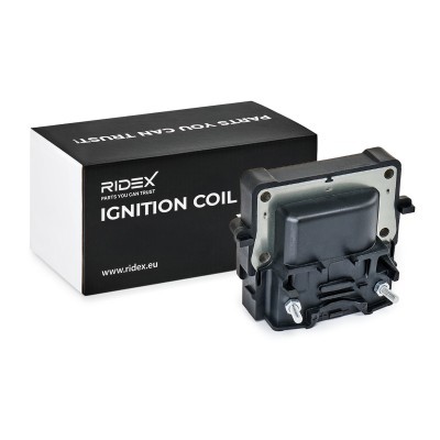 Cewka Zapłonowa RIDEX 689C0170 689C0170 - foto 2