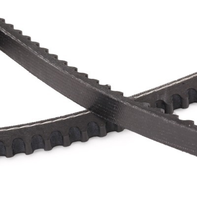 Pasek Klinowy RIDEX 10C0045P 10C0045P - foto 5
