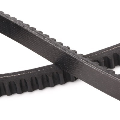 Pasek Klinowy RIDEX 10C0036P 10C0036P - foto 5