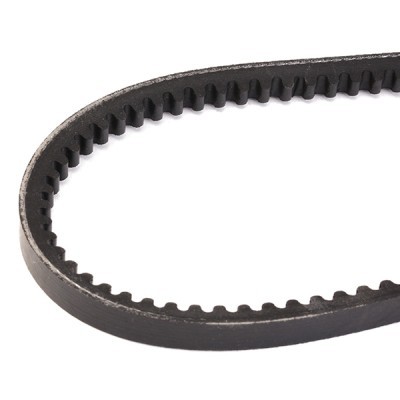 Pasek Klinowy RIDEX 10C0005 10C0005 - foto 3