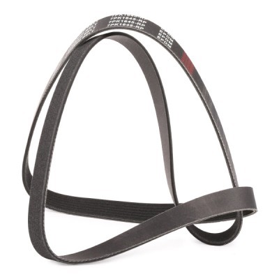 Pasek Klinowy Wielorowkowy RIDEX 305P0492P 305P0492P - foto 3