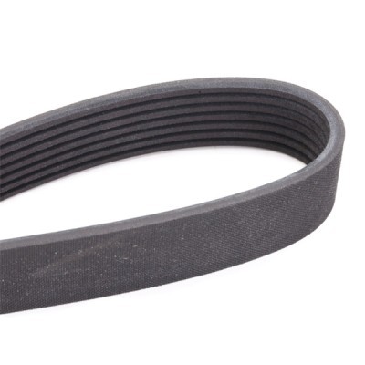 Pasek Klinowy Wielorowkowy RIDEX 305P0186 305P0186 - foto 5