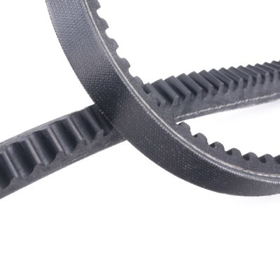 Pasek Klinowy RIDEX 10C0041P 10C0041P - foto 5