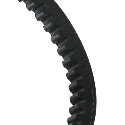 Pasek Klinowy RIDEX 10C0031 10C0031 - foto 5