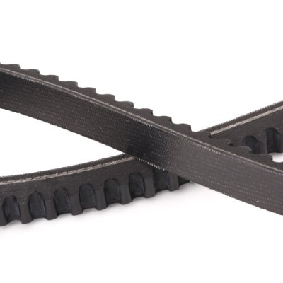 Pasek Klinowy RIDEX 10C0024P 10C0024P - foto 5
