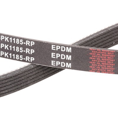 Pasek Klinowy Wielorowkowy RIDEX 305P0302P 305P0302P - foto 5