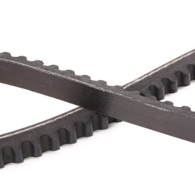 Pasek Klinowy RIDEX 10C0062P 10C0062P - foto 5