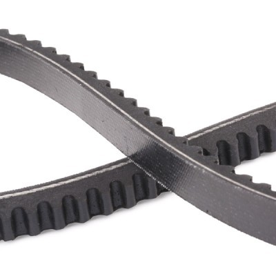 Pasek Klinowy RIDEX 10C0037P 10C0037P - foto 5