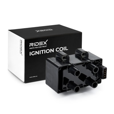 Cewka Zapłonowa RIDEX 689C0160 689C0160 - foto 2