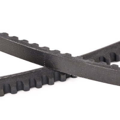 Pasek Klinowy RIDEX 10C0079P 10C0079P - foto 5