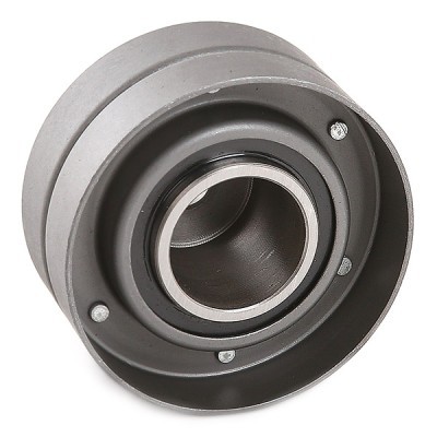 Kierunkowa/Prowadząca Pasek Rozrządu RIDEX 313D0141 313D0141 - foto 4