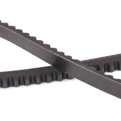 Pasek Klinowy RIDEX 10C0117P 10C0117P - foto 5
