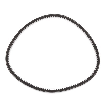 Pasek Klinowy RIDEX 10C0024P 10C0024P - foto 4