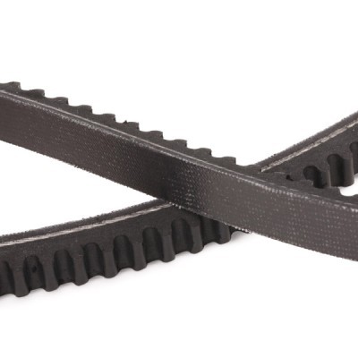 Pasek Klinowy RIDEX 10C0061P 10C0061P - foto 5