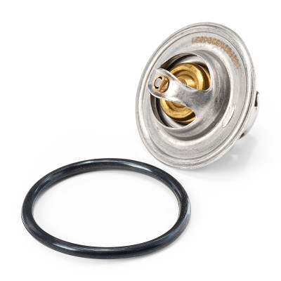 Termostat RIDEX 316T0003 316T0003 - foto 7