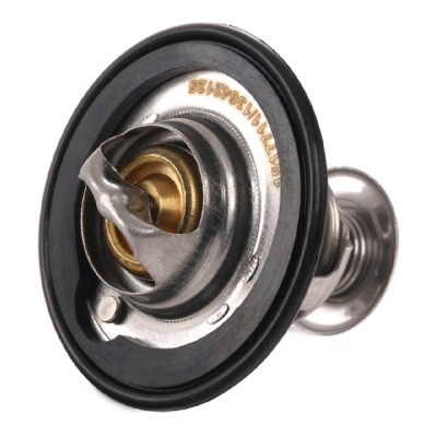 Termostat RIDEX 316T0149 316T0149 - foto 5