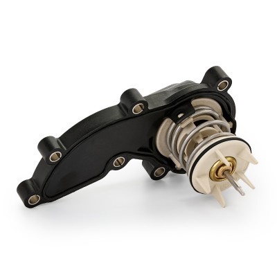 Termostat RIDEX 316T0417 316T0417 - foto 4