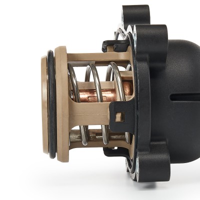 Termostat RIDEX 316T0175 316T0175 - foto 5