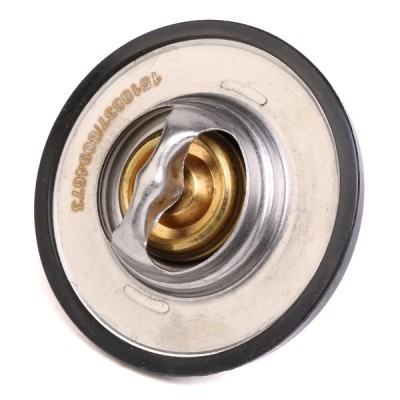 Termostat RIDEX 316T0078 316T0078 - foto 2