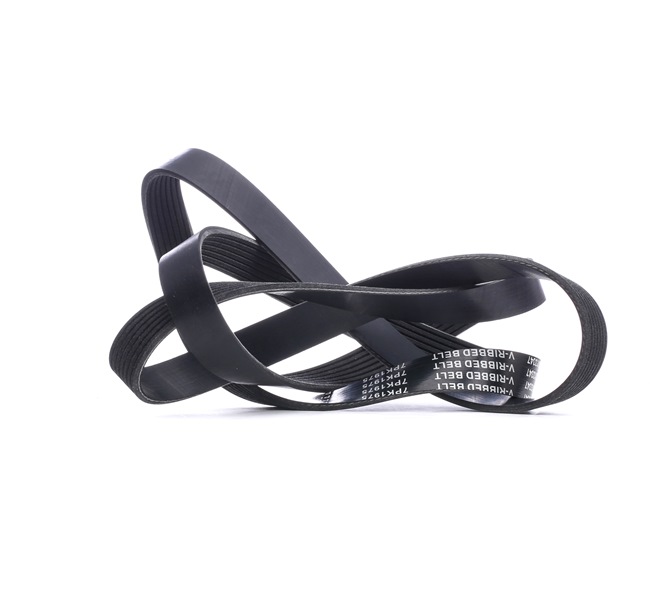 Pasek Klinowy Wielorowkowy Stark SKPB-0090181 SKPB-0090181 - foto 1
