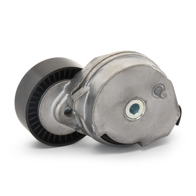 Napinacz Paska Klinowego Wielorowkowego RIDEX 541V0018P 541V0018P - foto 4